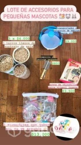 Lote de accesorios para mascotas pequeña