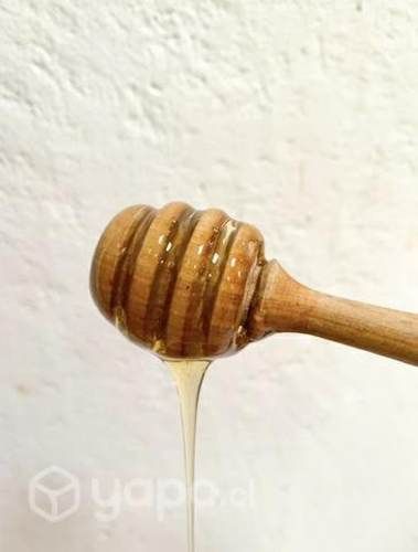 Miel de abeja