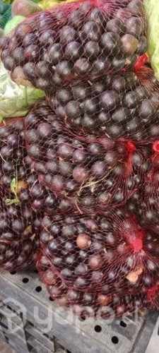 Verduras y ensaladas arvejar