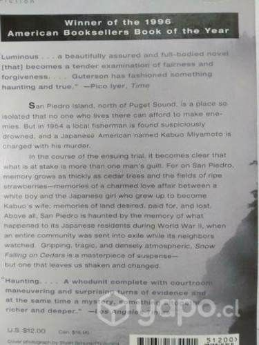 Snow falling on cerdars