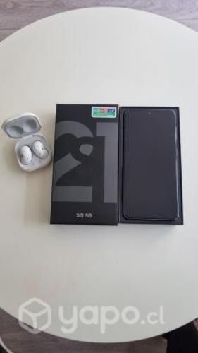 Celular Samsung S21 5G + Audifonos Buds Live