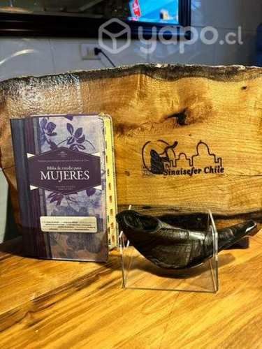 Biblia de la mujer de estudio más shofar carnero