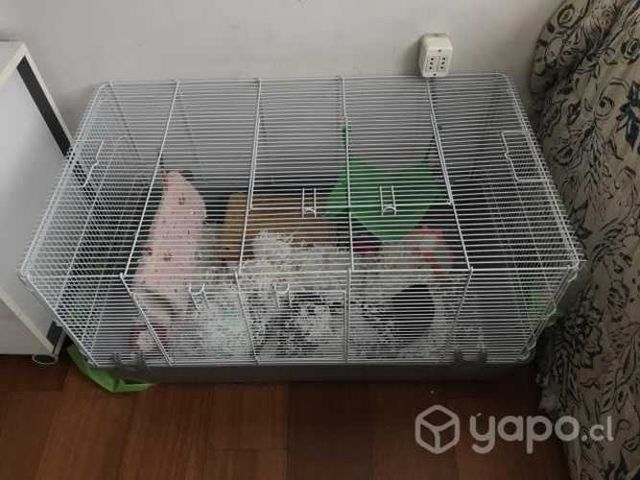 Jaula conejo, hamster, raton etc