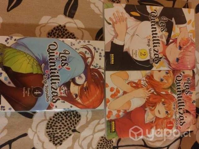 Manga: Las Quintillizas Norma Editorial