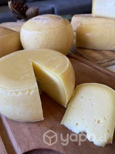 Quesos artesanales sureños