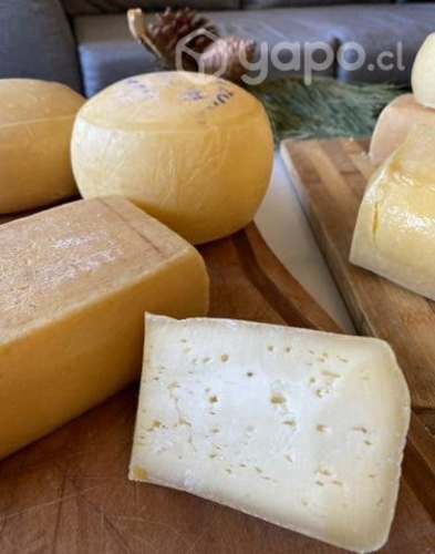 Quesos artesanales sureños