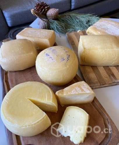 Quesos artesanales sureños