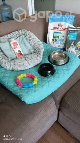 Jaula Canil para tu mascota + obsequio