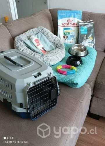 Jaula Canil para tu mascota + obsequio