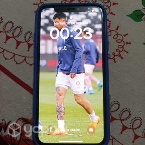 IPhone XS Gold 256gb leer descripción