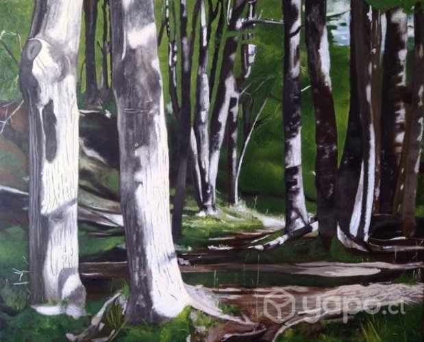 Pintura bosque Patagonia
