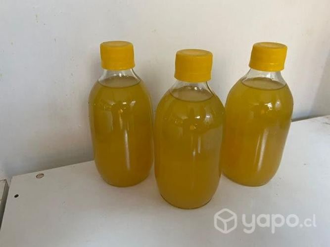 Papaya en Conserva frasco y Nectar