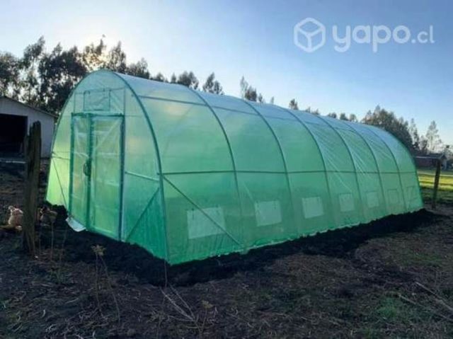 Invernadero 50 metros cuadrados
