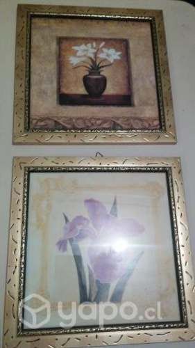 Juego 2 Laminas Flores