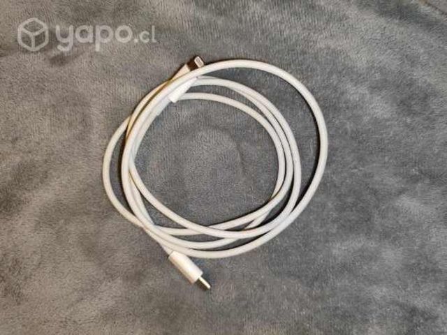 Cargador iPhone original