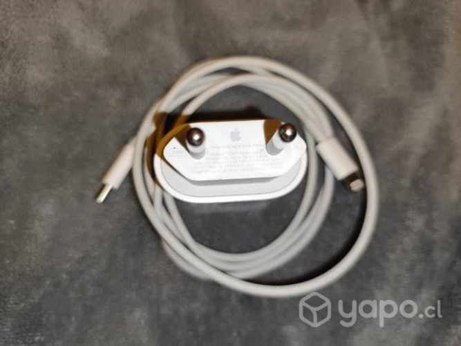 Cargador iPhone original