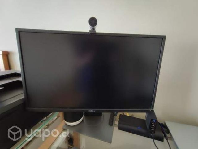 Monitor Dell P2417H LED 23,8&quot;+Cámara MS LifeCam HD