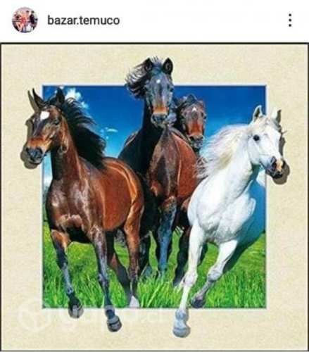 Cuadro con efecto 3D