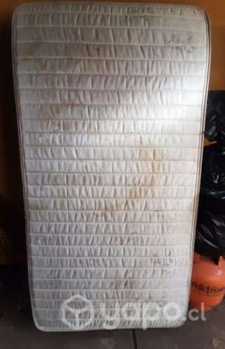 Base de masa plaza y media