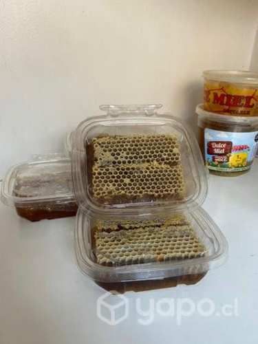 Miel de panal de abejas