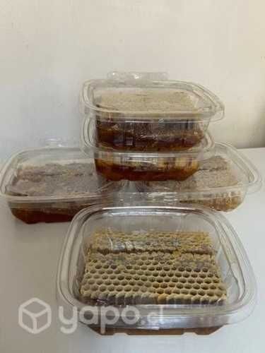 Miel de panal de abejas