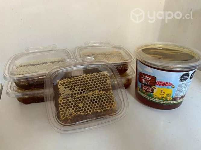 Miel de panal de abejas