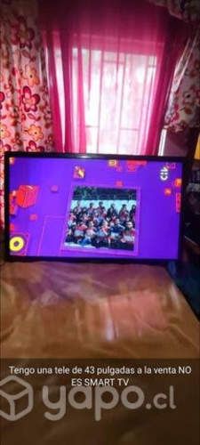 Televisor 43 pulgadas