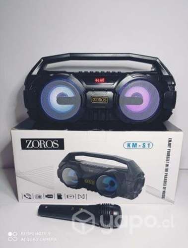 Parlante con radio, Bluetooth y micrófono