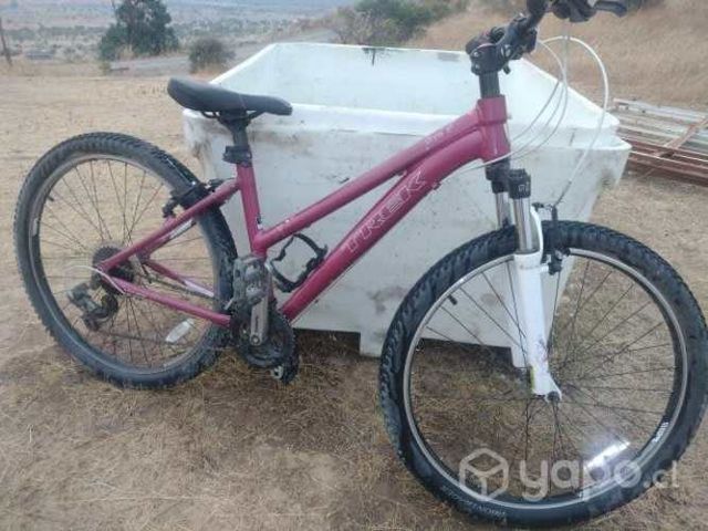 Bicicleta mujer
