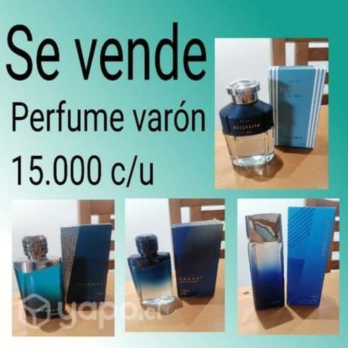 Perfumes dama y varón