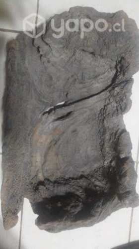 Repositorio de madera indígena