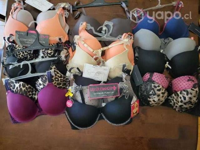 Lote de sostenes de marca