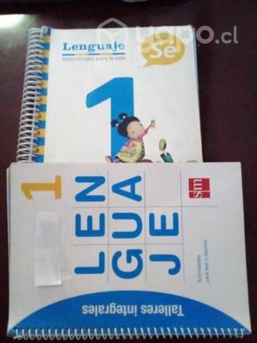 Lenguaje Proyecto Sé