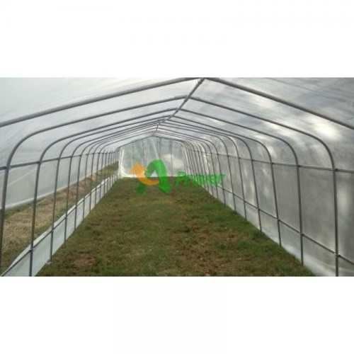 PREVENTA-Invernadero Metálico 200 Mts2