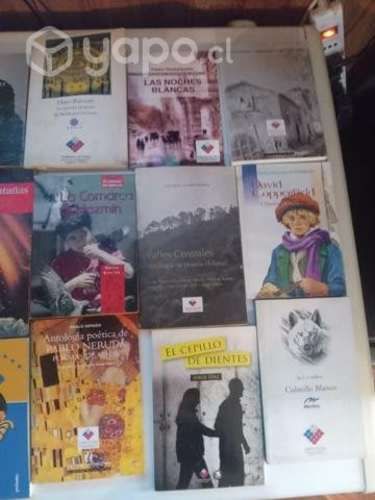 Libros ,enciclopedias ,diccionario ,cuentos