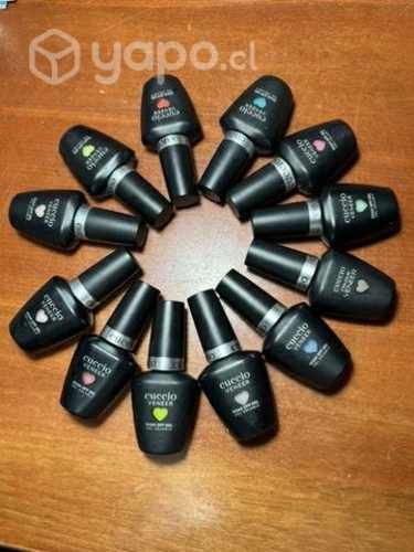 12 esmalte permanente