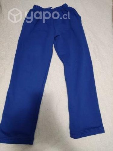 Poleron colegio Concepción talla L