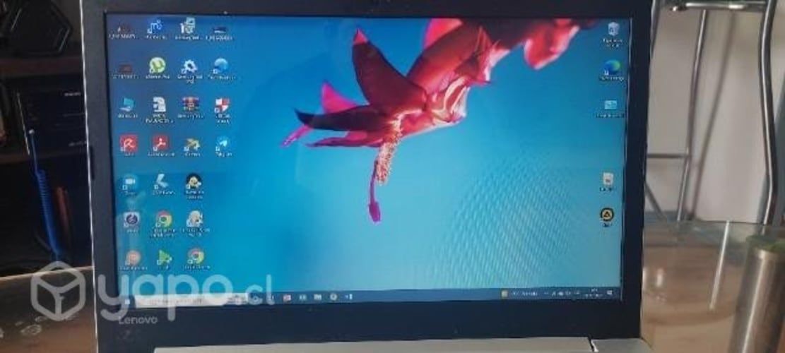 Lenovo Celeron de 20 pulgadas