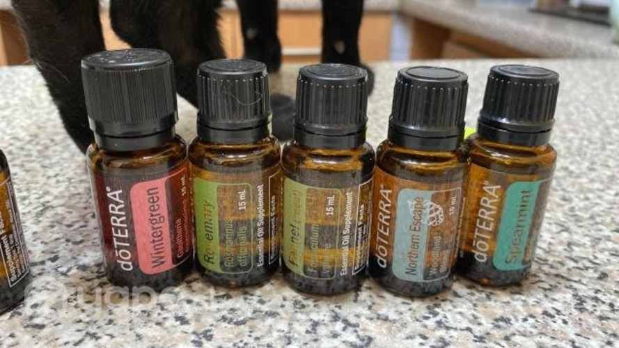Pack de doterra