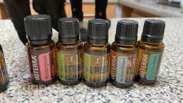 Pack de doterra