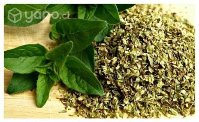 Oregano Entero