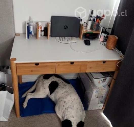 Escritorio de bambú y MDF