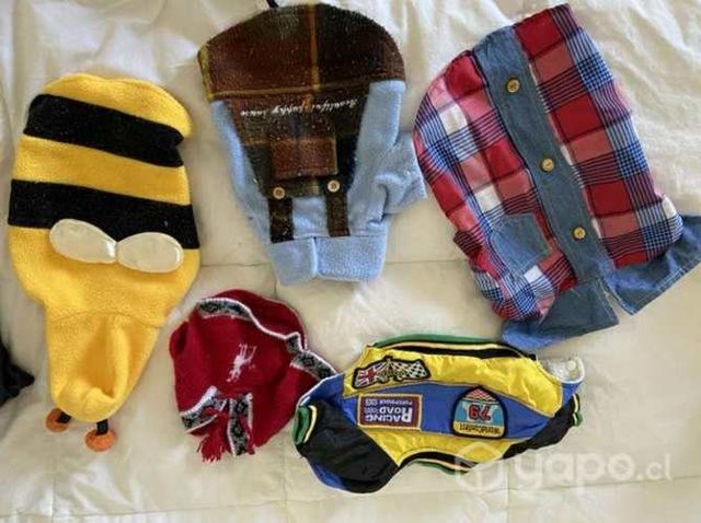 Ropa perritos