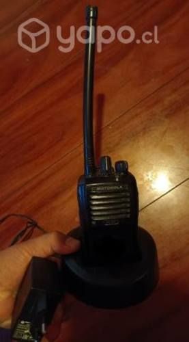 Radio de seguridad