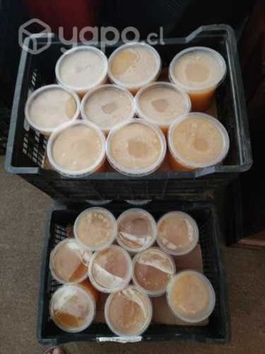 Miel 100 por ciento pura de ulmo