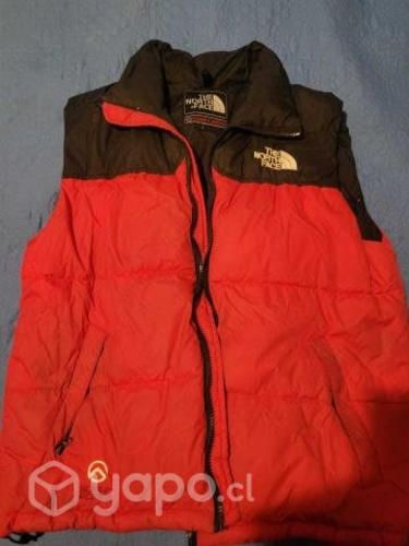 Chaqueta the north face