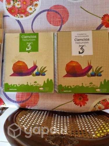 Libros santillana 3 basico "todos juntos"