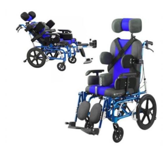 Silla de ruedas neurológica Adulto