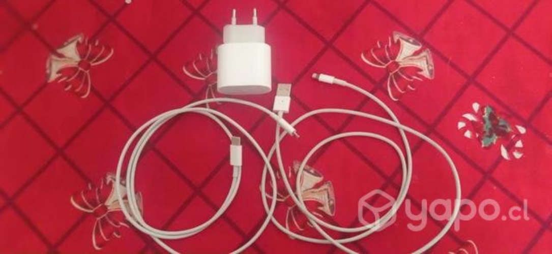Cargador de iPhone 12