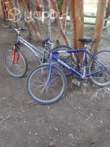 Bicicletas